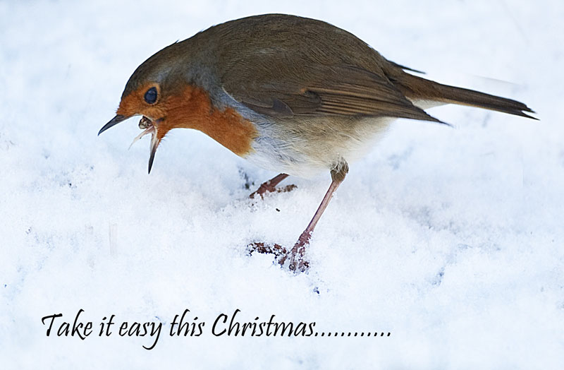happy Christmas!