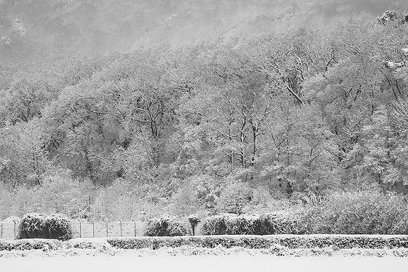 Flax Bourton snow