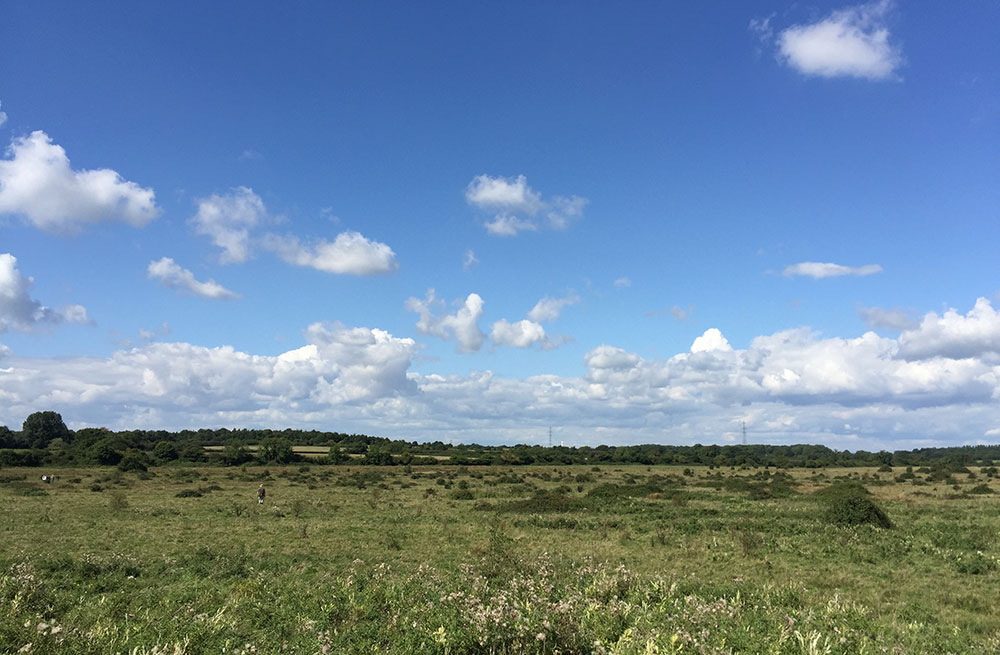 Chipping Sodbury Common