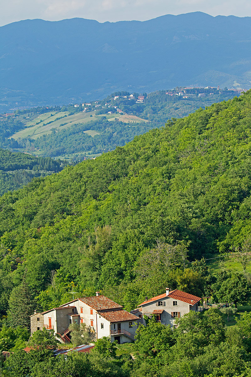 Lucie's house