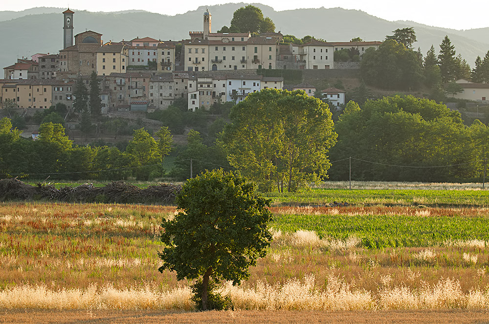 Monterchi