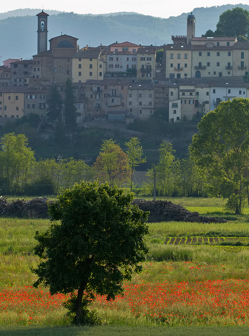 Monterchi