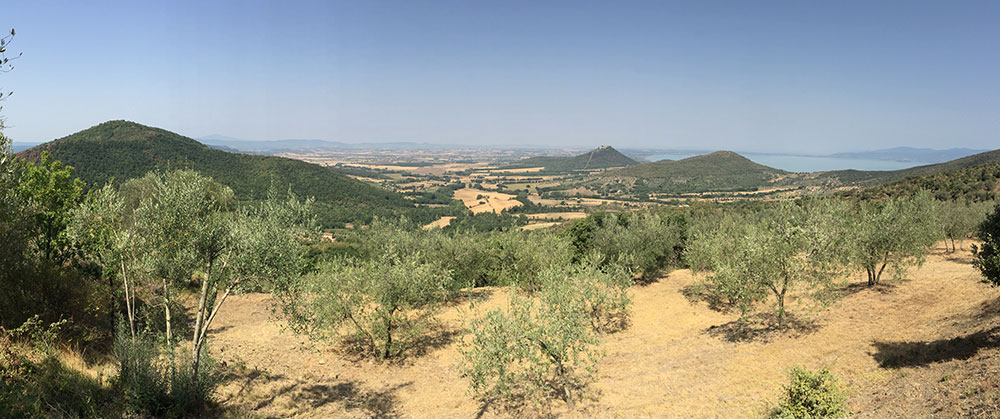 Montali
