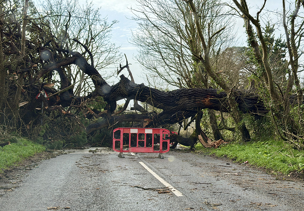 Storm damage