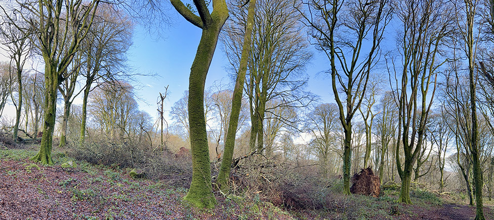 Lelant Downs