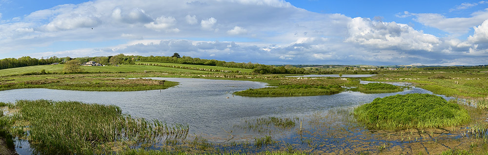 Walmsley view from Tower Hide