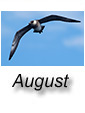 August 2015