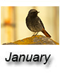 January 2014