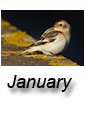 January 2015