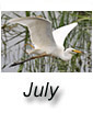 July 2018
