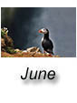 June 2018