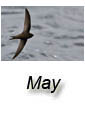 May 2009