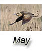 May 2018