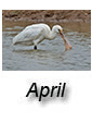April 2017