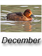December 2014