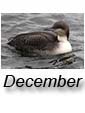 December 2021