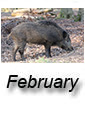February 2018